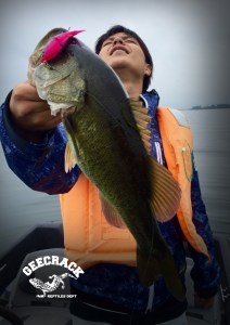 o0800113313450777872