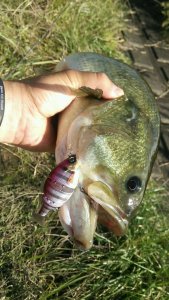 o0800142213443860191