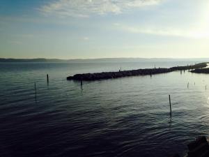 12188955_1033665250018597_8519355449833894232_n