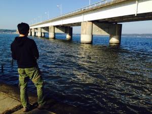 12189967_1033665330018589_3220566095426816878_n