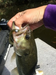 o0480064013470979850