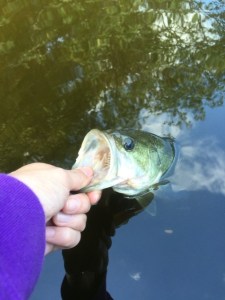 o0480064013470979851