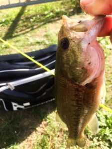 o0480064013481454155