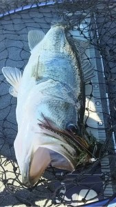 o0480085413485114198