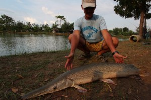 o0500033313496467374