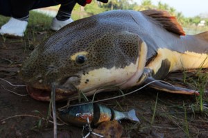 o0500033313496467773