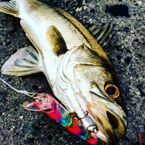 o0768076813481041278