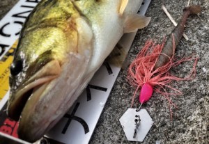 o0800055413470181115