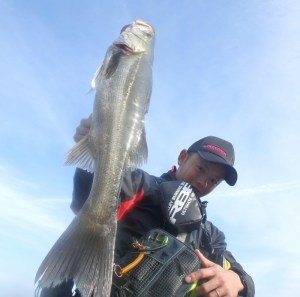 o0800079413490875837