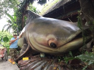 o0480036013511430747