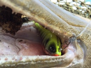 o0480036013512630129