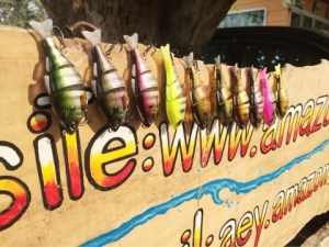 o0480036013514734615