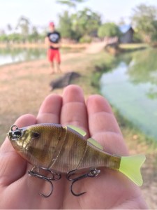 o0480064113512630213