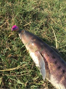 o0480064113513419741