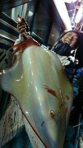 o0540096013500000062