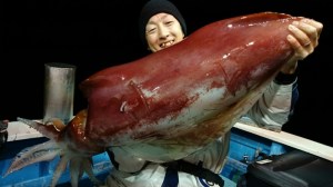 o0800045013498014308