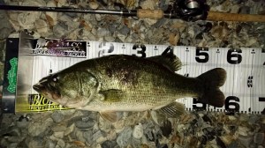 o0800045013500531882