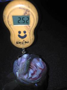 10367133_1094836407234814_9158881559327753913_n