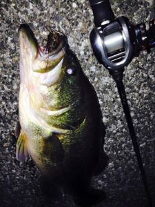 10372012_1094836413901480_5222600807590836748_n