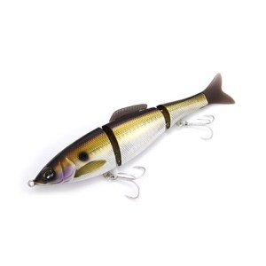 o0480048013586684777