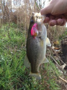 o0480064013592762535