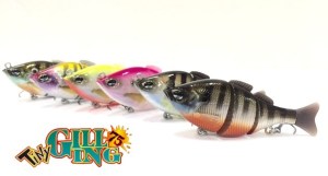 o0630033913581994182