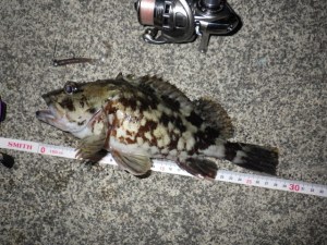 o0640048013593112308