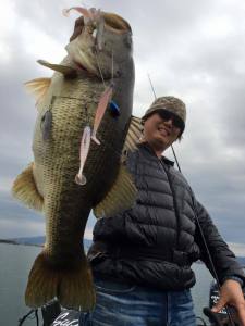 o0720096013585552506