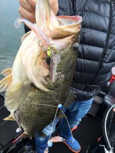 o0720096013585552508