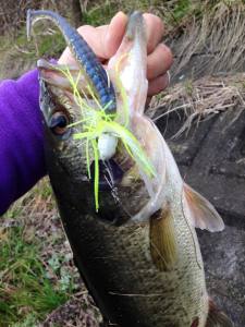 o0720096013587303180