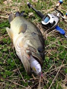 o0720096013589464247