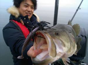 o0800059313584663454