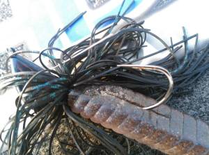 o0800059313584663455