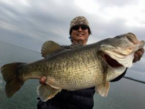 o0800060013585552507