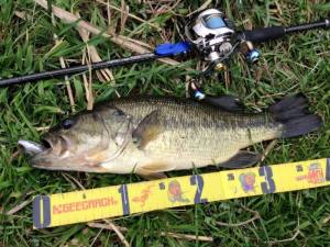 o0800060013589464246