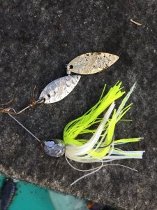 o0800106713593557676