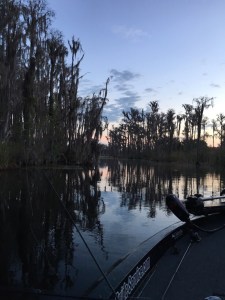 o0800106713600659993