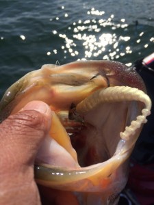 o0800106713602480753