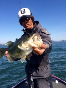 o0800106713602480755