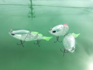 12321530_1123547441030377_2804655787878048458_n