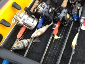 o0480036013617339889