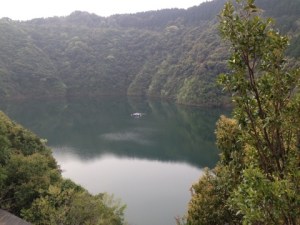 o0480036013617339901