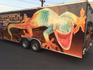 o0480036013628161842