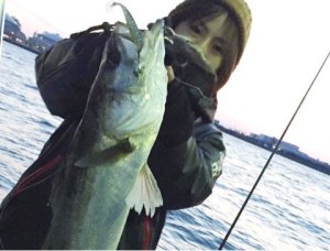 o0480036513618734761