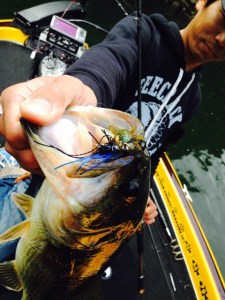 o0480064013617435521