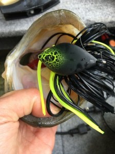 o0480064013618722394