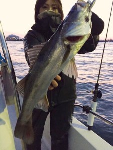 o0480064013618734752