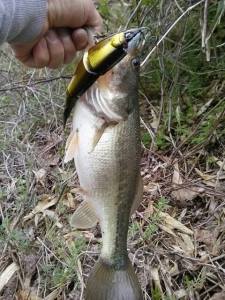 o0480064013619224963