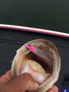 o0480064013625374677