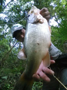 o0480064013629093908